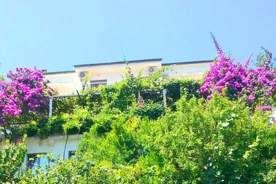 Madra Rooms And Apartments Budva Kültér fotó
